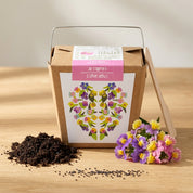 “I Love You” Garden Kit – Nemesia