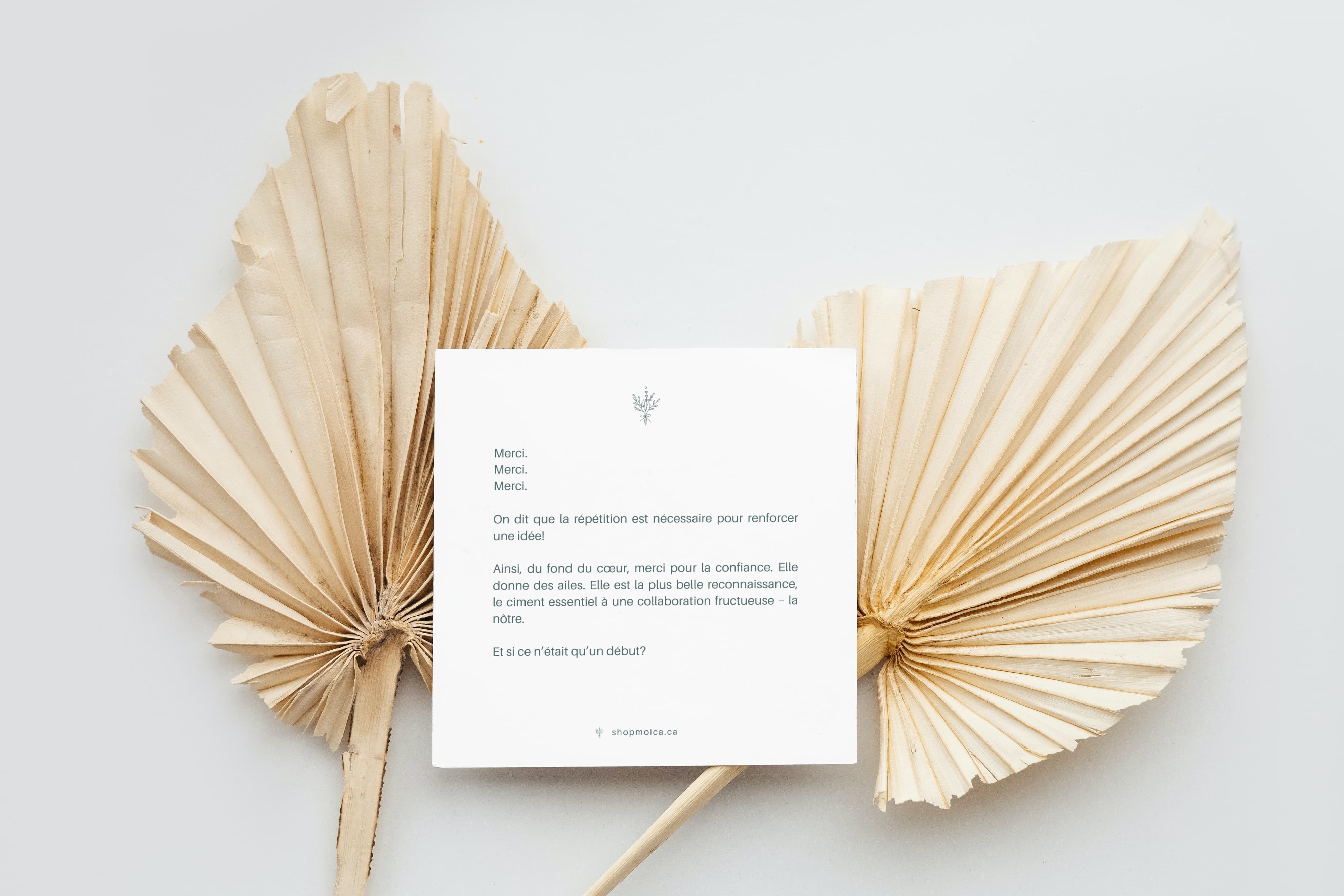 mockup-carton-3.jpg