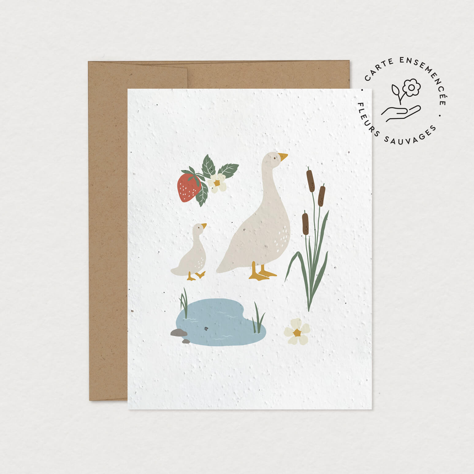 00119-MimosaDesign_aPlanter_Suzelalacampagne.jpg